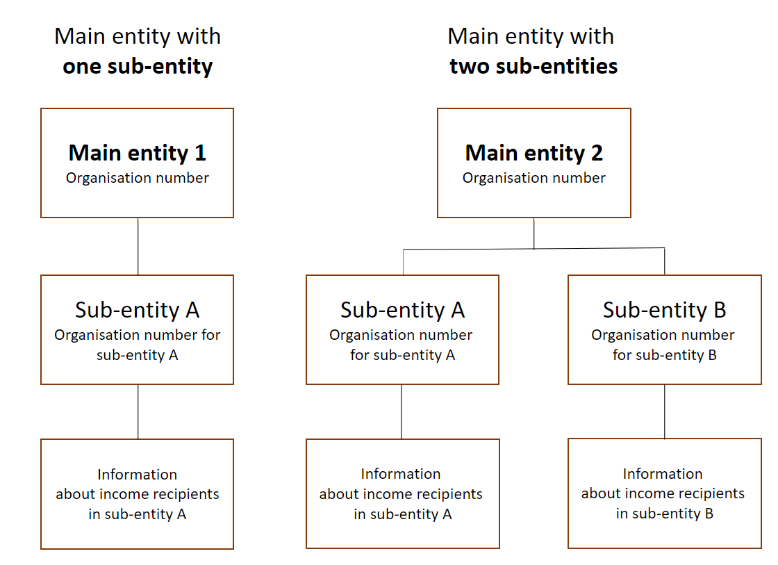 Diagram. Specify the organisation number for the main entity. Specify the organisation number for the sub-entity for each of the sub-entities. The text in the article explains this in more detail.