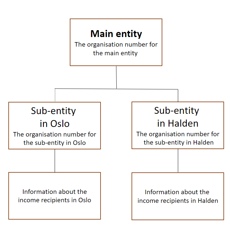 Diagram. Specify the organisation number of the main entity that is the declarant. Specify the organisation numbers of the sub-entities in Hamar and Oslo. Information on income recipients is linked to Hamar and Oslo. The text in the article explains this in more detail.